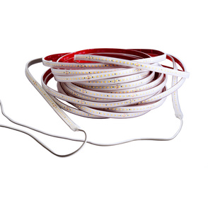 LED Stripes ab IP44 bei G.W.I Elektro GmbH in Oberleichtersbach